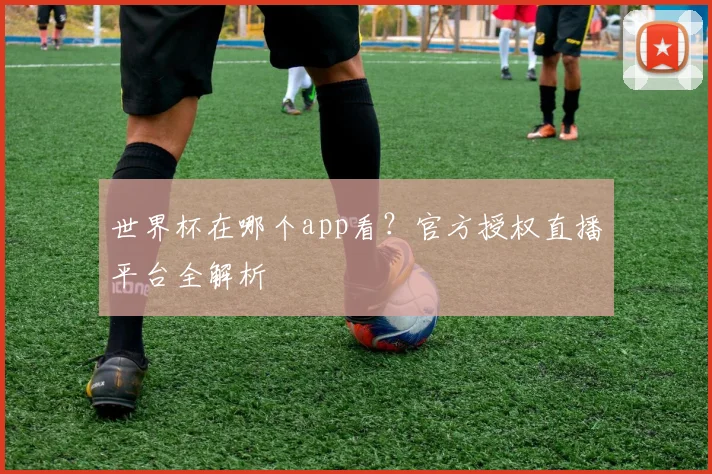 世界杯在哪个app看?官方授权直播平台全解析