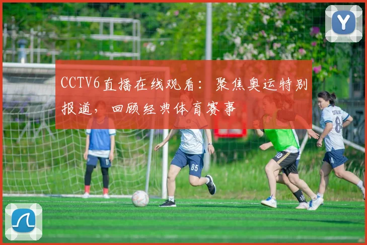 CCTV6直播在线观看:聚焦奥运特别报道,回顾经典体育赛事