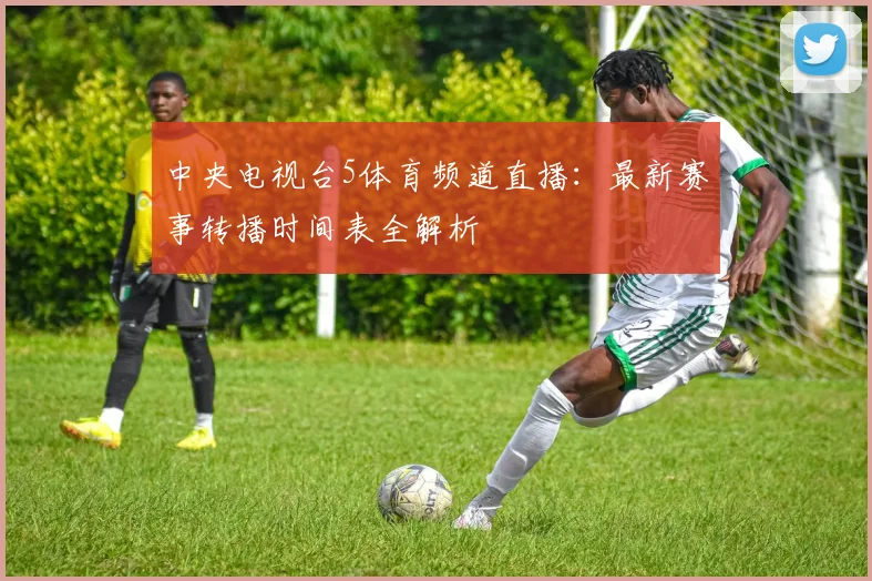 中央电视台5体育频道直播:最新赛事转播时间表全解析